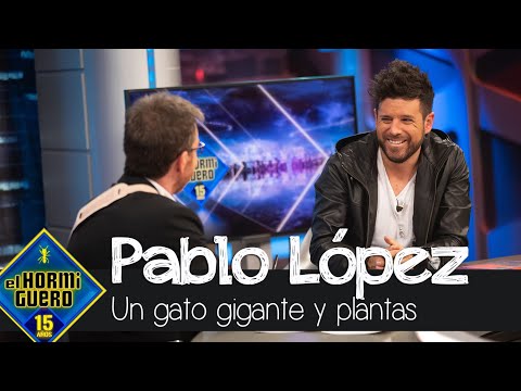 Pablo López presenta a su gato gigante y el misterio de los nombres de sus plantas - El Hormiguero