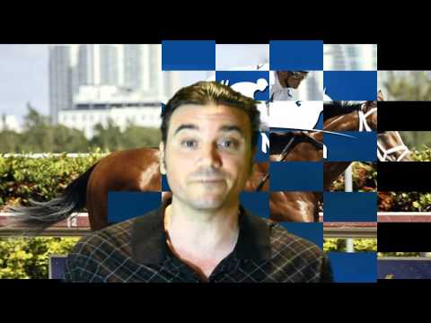 Wood Memorial 2012 + SA Derby Illinois Derby Gemologist Alpha Creative Cause