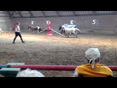 Cheval & Poney : Mon Centre Equestre Manager PC