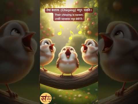 पक्षिणां स्वतन्त्र-लोकः (पक्षियों की स्वतंत्र दुनिया) Sanskrit Story - 60 | Sanskrit Kalp