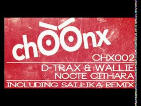 D-Trax & Wallie - Nocte Cithara (Original Mix)