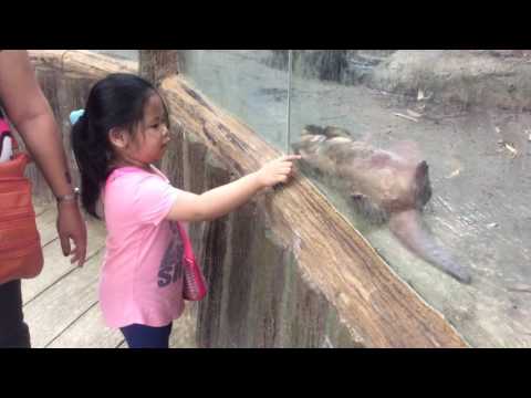 Toffie and Pia fun escapades