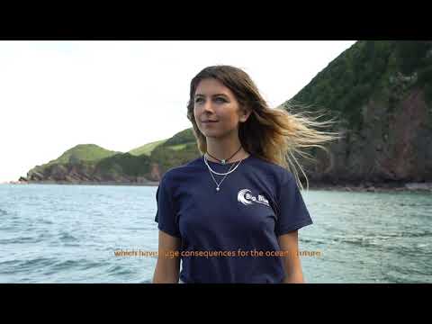 Marine Animal Entanglement Rescue Boat