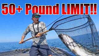 UNBELIEVABLE 50+ Pound Limit with the BIGGEST BASS of my LIFE?!