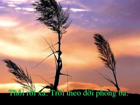 Hoang mang - Quang Minh