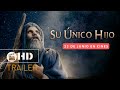 SU ÚNICO HIJO Trailer Oficial Español