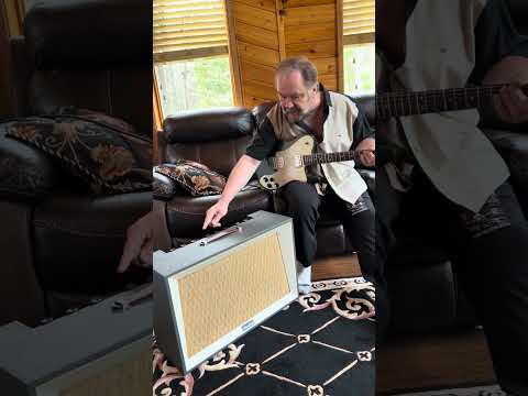 Airline 9005 Tube Amp Danelectro 2 x 12” 1960 image 10