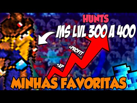 TIBIA - 5 HUNTS PARA MS 300 A 400 SOLO (Tibia Hunt Master Sorcerer)