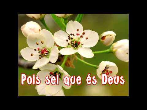 Etiene - Descansarei