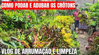 VLOG DE LIMPEZA E ARRUMAÇÃO DOS CRÓTONS E DO QUINTAL: QUINTAL DE TERRA, ADUBAÇÃO E PODA | DICAS