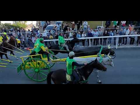 San Martino in Pensilis: Corsa dei Carri 30 aprile 2022