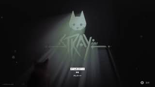 [Stray]異世界転生ならぬ猫界転生