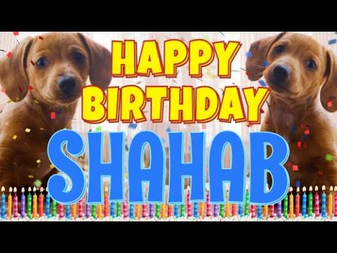 Happy Birthday Shahab! ( Funny Talking Dogs ) What Is Free On My Birthday