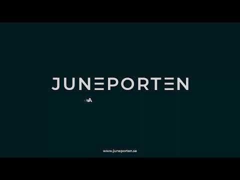 Videoklipp