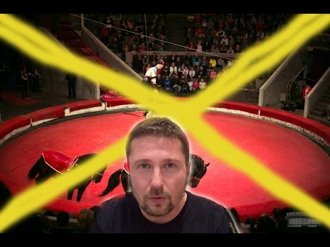 Смотреть видео на alushta24.org