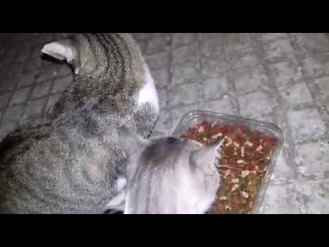 Mattis und Ronja einträchtig zusammen! Papa und Tochter mögen sich wirklich gerne!