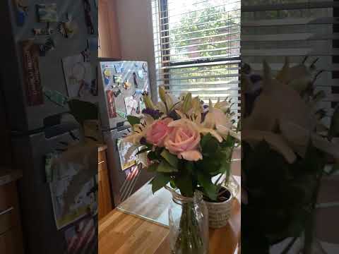 video 1