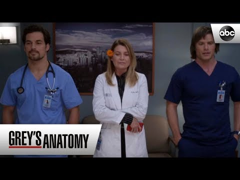 Meredith, Link and Deluca - Greys Anatomy Season 15 Episode 6