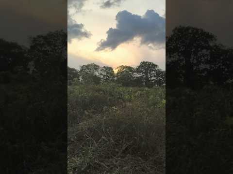 interior do Estado do Ceará São Benedito