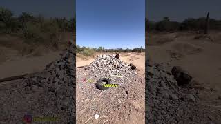 Download lagu LOCATION WHERE THE BATTLE OF BADAR TOOK PLACE, DURING THE TIME OF THE PROPHET MUHAMMAD ﷺ mp3 Download lagu LOCATION WHERE THE BATTLE OF BADAR TOOK PLACE, DURING THE TIME OF THE PROPHET MUHAMMAD ﷺ mp3