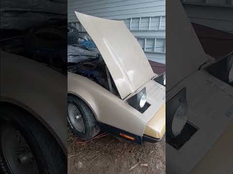 Thumbnail for The Bricklin runs again. #Learn automotive repair and tips #Bricklin #automobile #diy auto repair by Automobile, Car