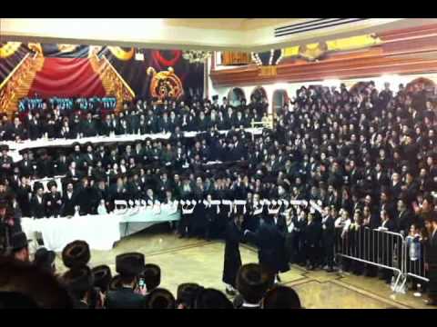 Pupa Wedding Kislev 5771