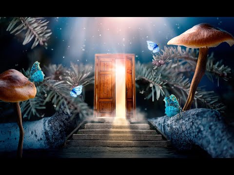 In Swanns Welt (1) Literatur & Belletristik / Klassiker - Hörbuch/Hörspiel