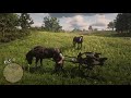 Horse Getting Spanked