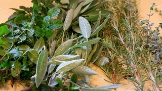 GARDEN TOUR: Herbs