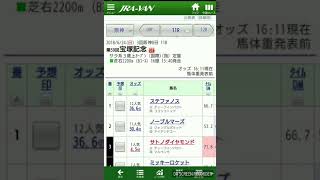 グラスの競馬予想！宝塚記念でサトノダイヤモンドとヴィブロスは消し！ポイントは馬場状態になるはずですううう！