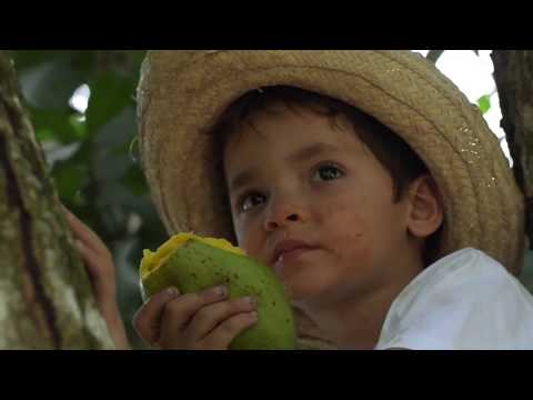 Luis Latuff | Entre Regaño y Consejo |  Video Oficial