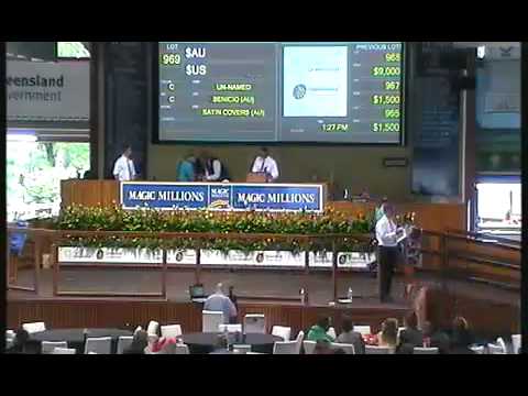 2012 Gold Coast Yearling Sale Lots 951 - 989 and reoffers