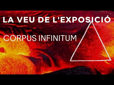 The Voice of the Exhibition | Corpus Infinitum