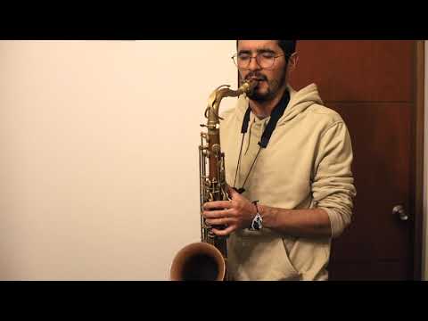 Two - Bridges with Seamus Blake - Sax cover