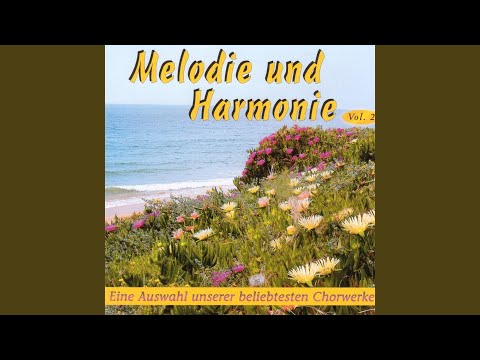 Denn Jeder Braucht Mal Eine Pause