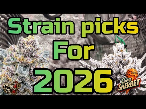 Strain Picks For 2026