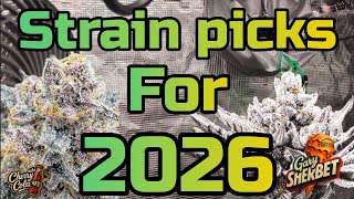 Strain Picks For 2026