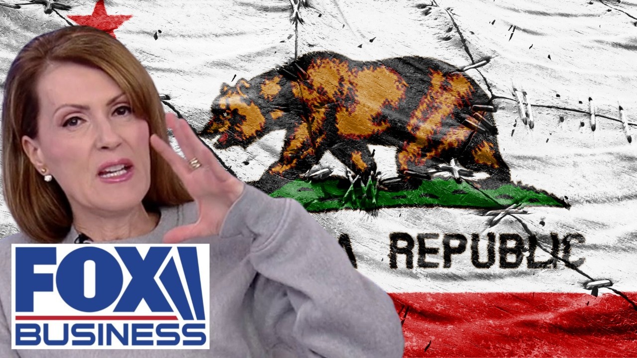 'LET THE STATE SINK': Dagen McDowell reveals who's to blame for breaking California