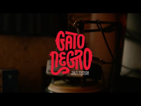 Miniatura de GATO NEGRO
