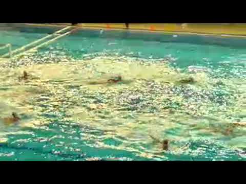 TIGRE EGER - C.N. TERRASSA