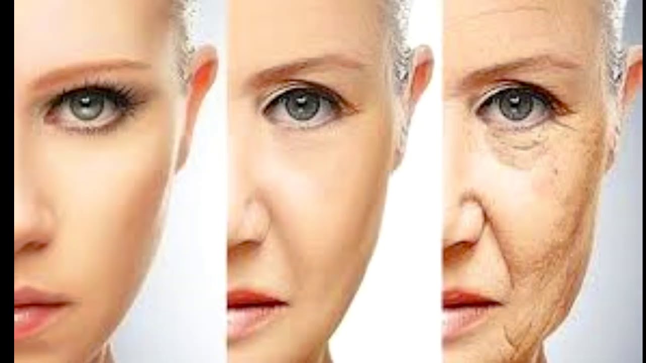 Francisco Ballester-21