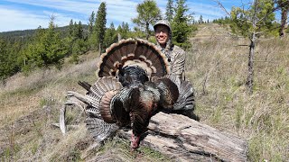 THE SEASON KICKOFF — Spring Backpack Turkey Hunt (Opening Day Hunt)