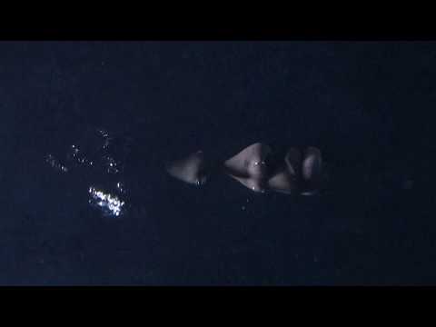 Video thumbnail for Man on the Moon (Reprise)