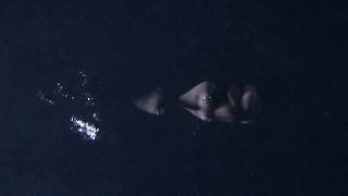 Moses Sumney  - Man on the Moon (Reprise) [Official Audio]