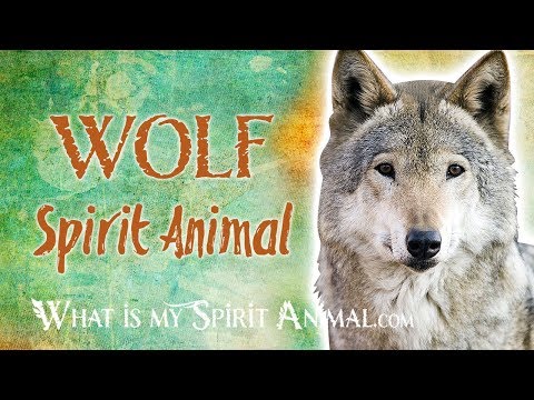 Wolf Spirit Animal | Wolf Totem & Power Animal | Wolf Symbolism & Meanings