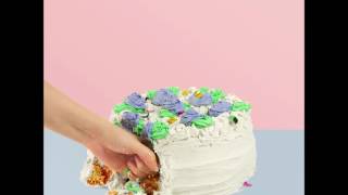 Darwin Deez - Right When It Rains