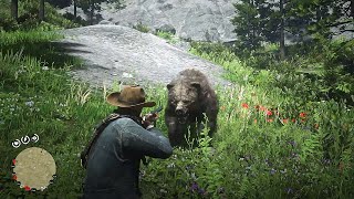 RDR2 - Elephant rifle vs the Legendary Grizzly..