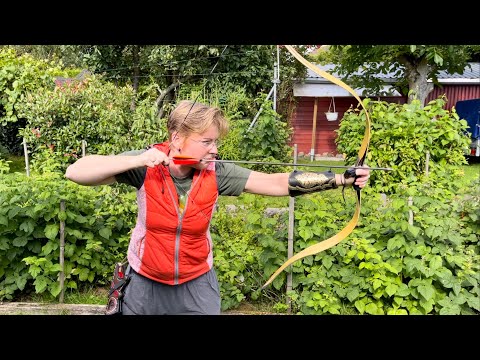 My mighty Keshig by Alibow (35 lbs / 28“)