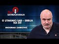 Miodrag Zarković O Utakmici SAD Srbija Na OI