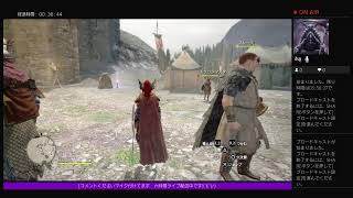 ｛主にドラゴンズドグマダークアリズン長時間ライブYouTube｝